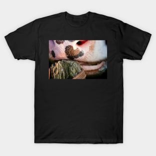 Cow Mouth T-Shirt